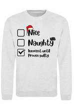 Load image into Gallery viewer, Adults Naughty Or Nice List Christmas Jumper.