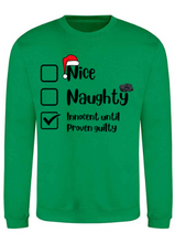 Load image into Gallery viewer, Adults Naughty Or Nice List Christmas Jumper.
