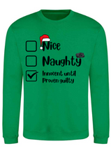 Load image into Gallery viewer, Adults Naughty Or Nice List Christmas Jumper.
